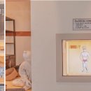 소백산희귀약초