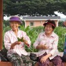 이기복농장 이미지