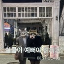 압구정-103 | 내돈내산,아따 압구정로데오 술집 헌팅포차