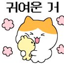 다이아 뷰티샵 네이버블로그