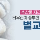 보성회천녹돈 - 장성군 역전로 28 | 보성회천녹돈