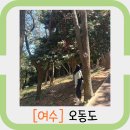 작은섬 | 여수 가볼 만한 곳 추천 : 동백나무가 있는 동화 같은 작은 섬 오동도 방문 후기 (+ 모터보트 탑승 후기)