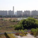 용산-446 한국일보