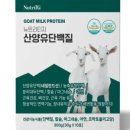 트루진스