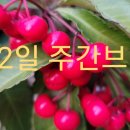 📺3월 22일 주간브리핑📺 이미지