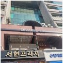 셀루닉하우스 일산점 네이버블로그