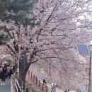 얼룩빼기 이박사 행복크리닝 이미지