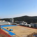 부산체육중학교 이미지