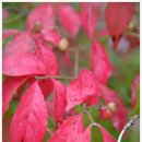 사곡중학교 이미지