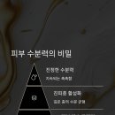 린에스테틱 이미지