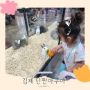 단짠아쿠아플레이 | 전주 근교 , 폭염과 상관없이 즐길 수 있는 김제 단짠아쿠아 아이랑 방문 후기.