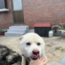 애월오사이 이미지