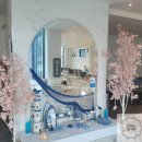 퍼스펫 애견펜션 이미지