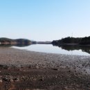 카우글램핑 이미지