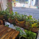 카페심곡동324 이미지