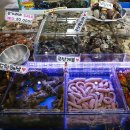 믿음수산 이미지