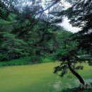 조정서원 이미지