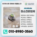 영토탈크리닝 이미지