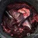 Bucket Meat 이미지