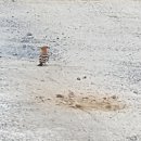 천태산로 이미지