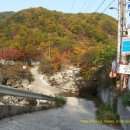 왕소나무집 이미지