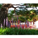 김해수로왕릉 이미지