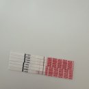 UR(경주시)-[내서로]-하-7 | 말꼼이와 먹고 또 먹자