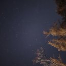 지에스25홍천강변점 | 비발디캠핑파크 노일점 추천 — 강원 홍천에 숨은 강변 오토캠핑장