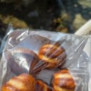 슬로우오븐 버터떡 솔직후기｜요즘 유행 버터떡 직접 먹어본 리얼리뷰