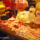 펫 파라다이스(pet paradise) 이미지