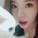 써니펫 이미지