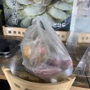 ▶[평택/송탄] 송북동 포장 만두전골 전문점, 뜨끈한 샤브샤브 집에서 먹자! 본만두 송탄점 포장 후기