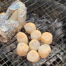 국대족발 | 10월 11월에 야구보는 이야기 - 남의팀편, 국대편