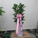 당진롯데공인중개사사무소 이미지