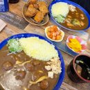 거보주유소 | 인천 효성동 카레맛집 카레공간 위너스카이 상가 깔끔한 카레 전문점