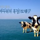 이상목장 이미지