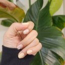 네일하꾸다 이미지