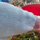 첸보리밥 이미지