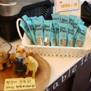 카페예스엔젤 | 달서구 애견동반 브런치 감삼동 일루스터테이블 냉파스타 맛집