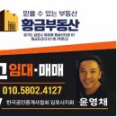 황금대지부동산중개 이미지