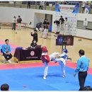 기품태권도 이미지