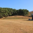 오자경 묘 이미지