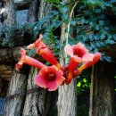 내가만약 이미지