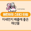 미세먼지 배출에 좋은 해산물 이미지