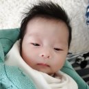대청정문약국 | 심실 중격 결손 수술 후기ventricular septal defect