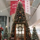 부림초어린이보호구역 | 국립아시아문화전당 어린이체험관 리모델링 솔직후기