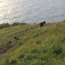 녹산등대가는길 이미지