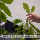 주왕산파크모텔 이미지