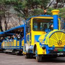 청룡카랜드 이미지