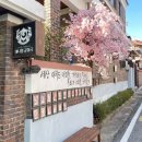 청주고양이입양지원센터 애니멀공화국 이미지